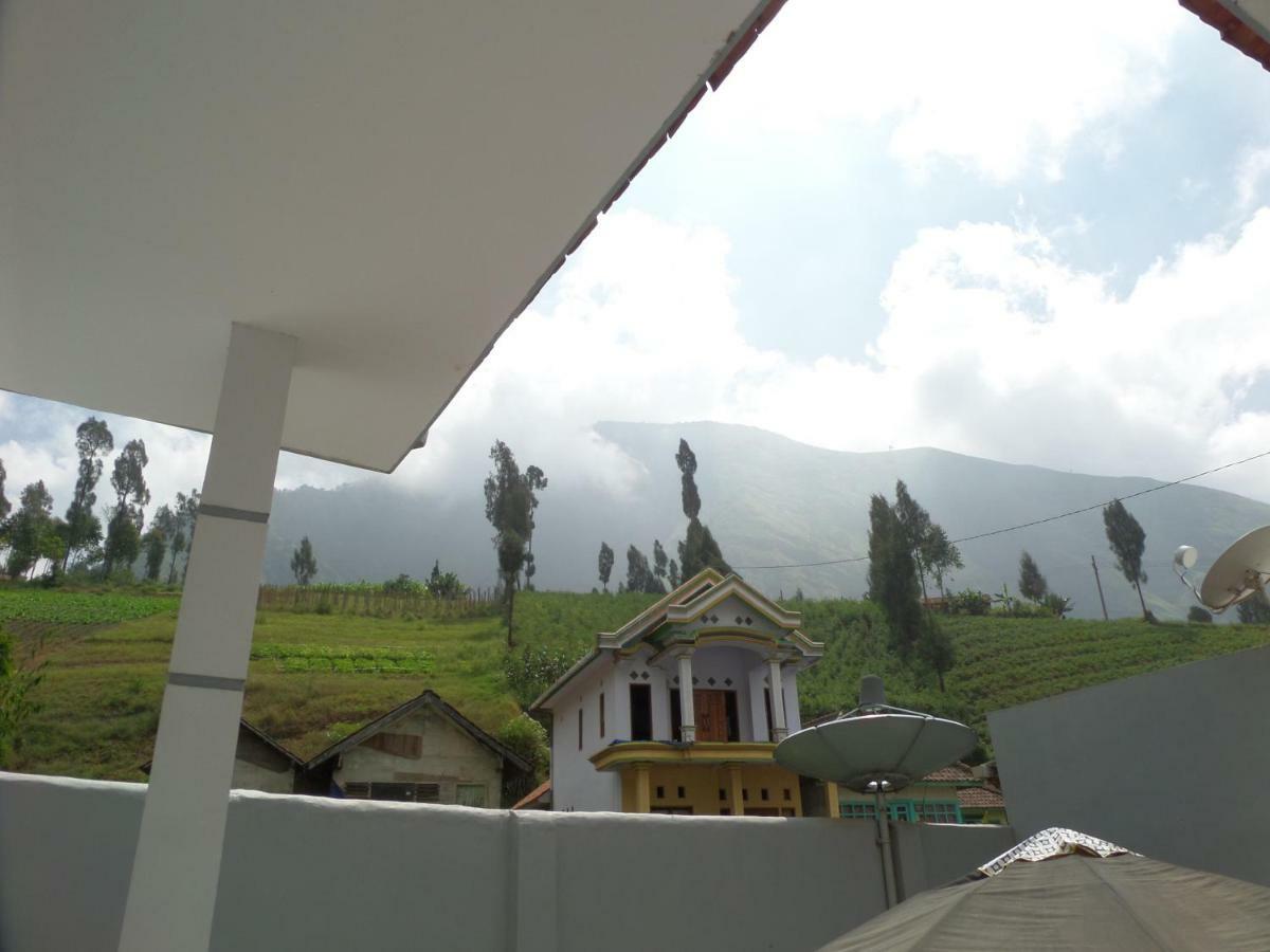 Savana Guesthouse برومو المظهر الخارجي الصورة