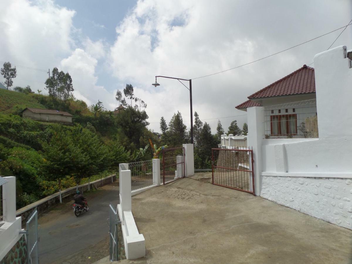Savana Guesthouse برومو المظهر الخارجي الصورة