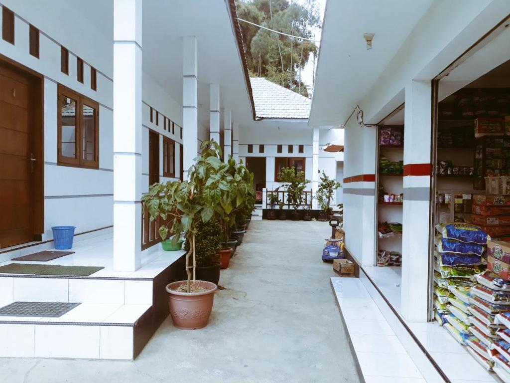 Savana Guesthouse برومو المظهر الخارجي الصورة